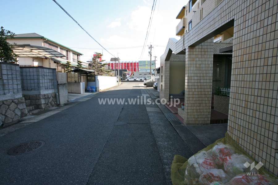敷地北側の前面道路（西側から）
