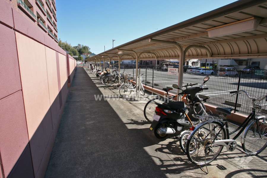 駐輪場とバイク置き場