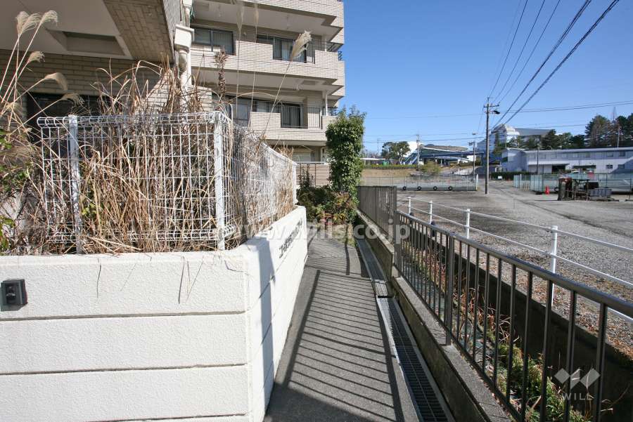 共用通路(南側)