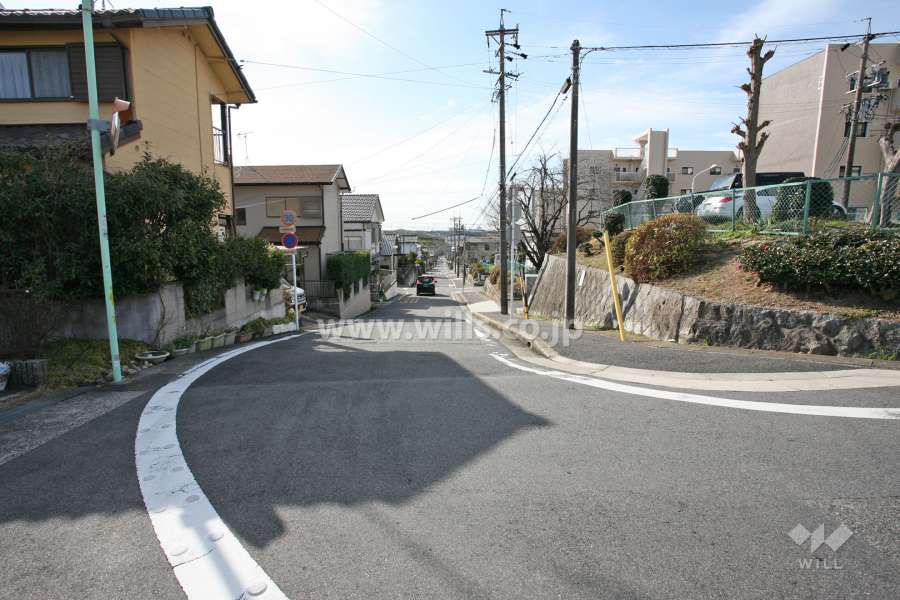 敷地東側の前面道路（北側から）