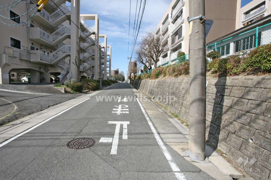 敷地南側の前面道路（東側から）
