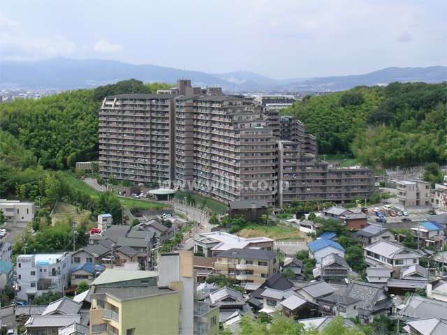 周辺は竹林と一戸建てが中心に建ち並ぶ住宅地