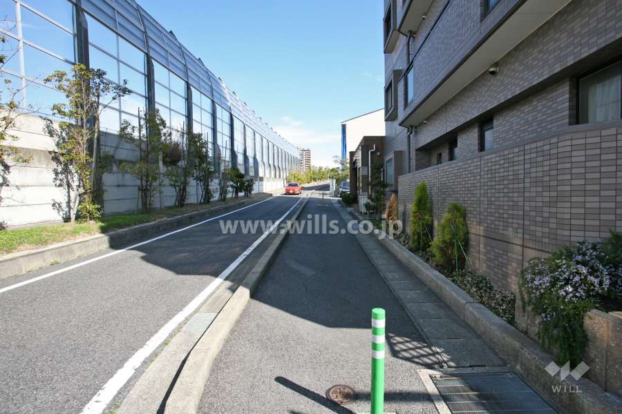 敷地西側の前面道路（南側から）