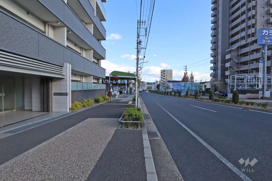 敷地南側の前面道路（西側から）