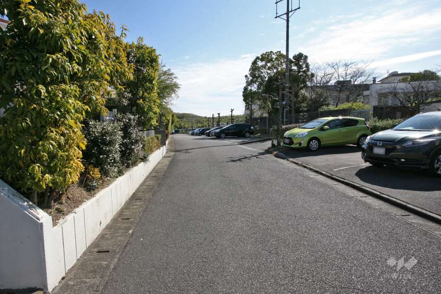 敷地南側の前面道路（西側から）