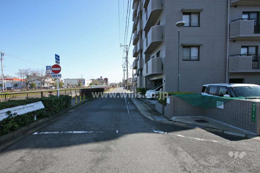敷地北側の前面道路（西側から）
