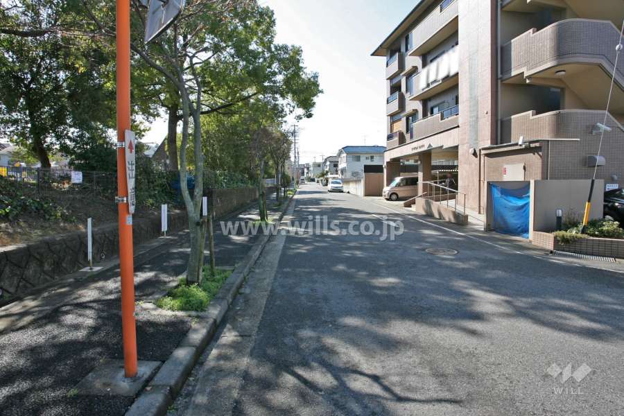 敷地東側の前面道路(北側から)