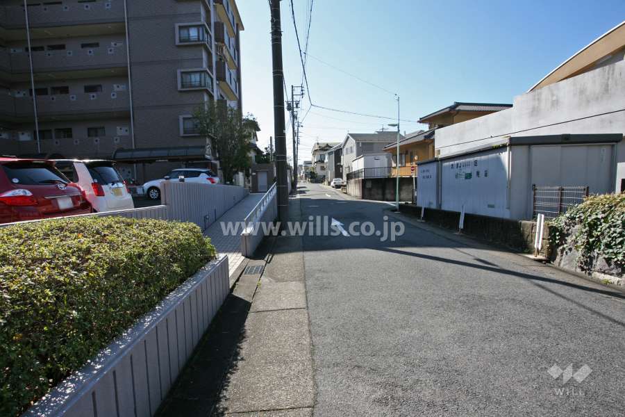 敷地西側の前面道路(北側から)