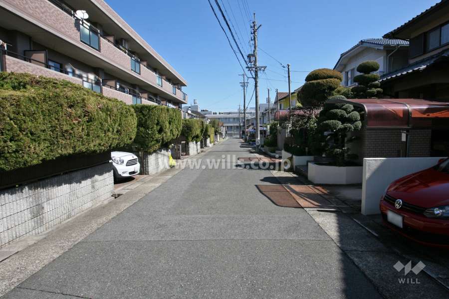 敷地南側の前面道路(西側から)