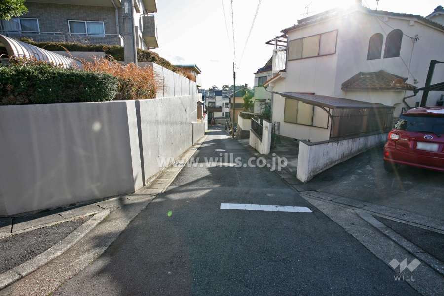 敷地西側の前面道路(北側から)