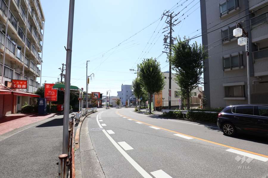 敷地東側の前面道路（北側から）
