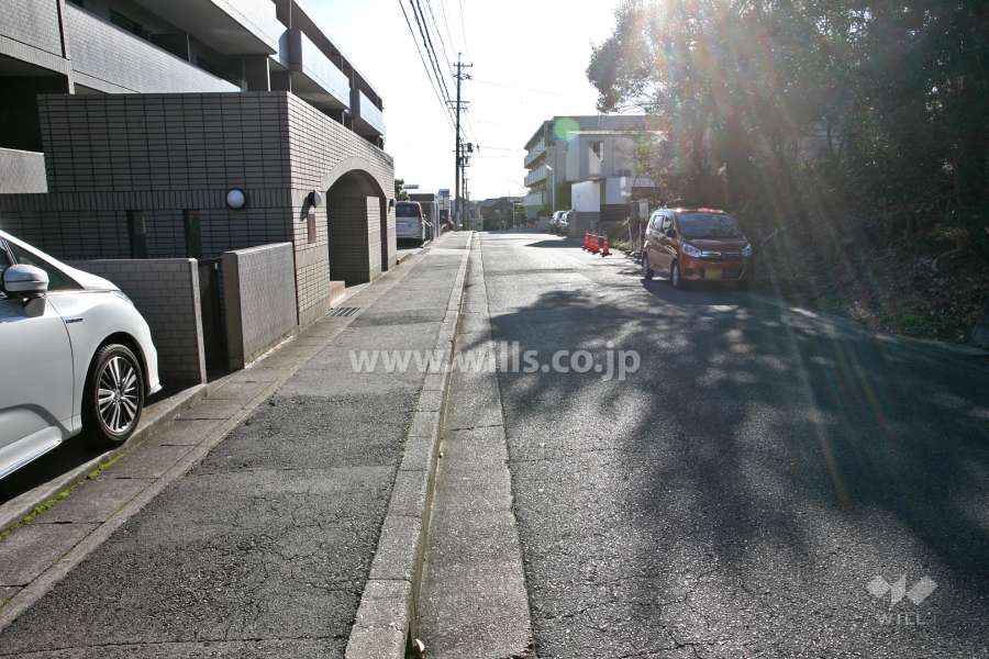 敷地西側の前面道路(北側から)