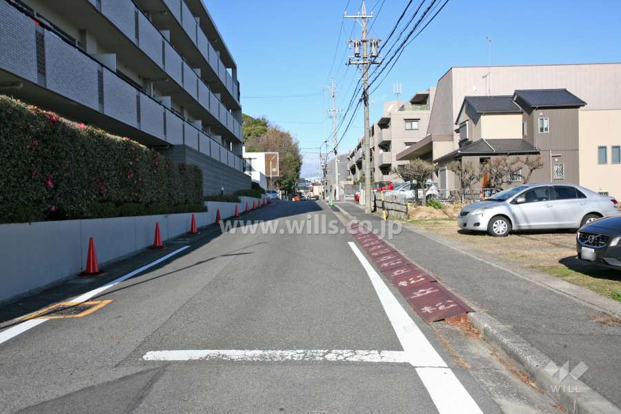 敷地南東側の前面道路（南西側から）