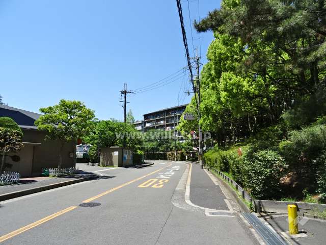 敷地南側の前面道路。二車線のバス通りです。