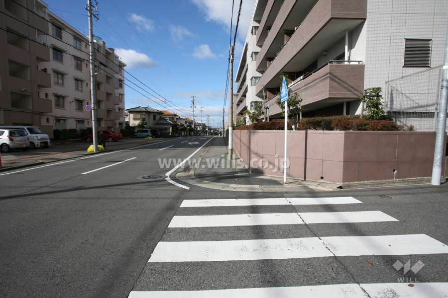 敷地南側の前面道路