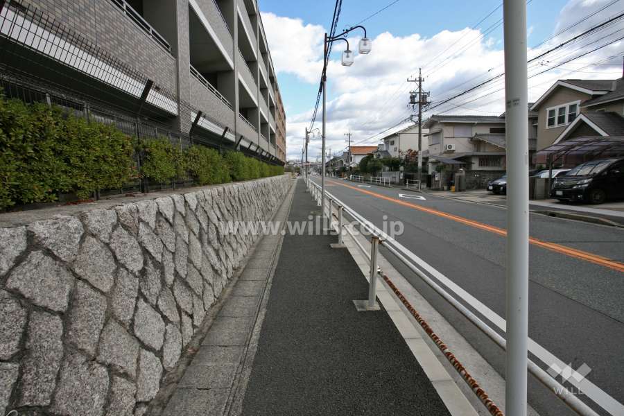 敷地南側の前面道路(西側から)