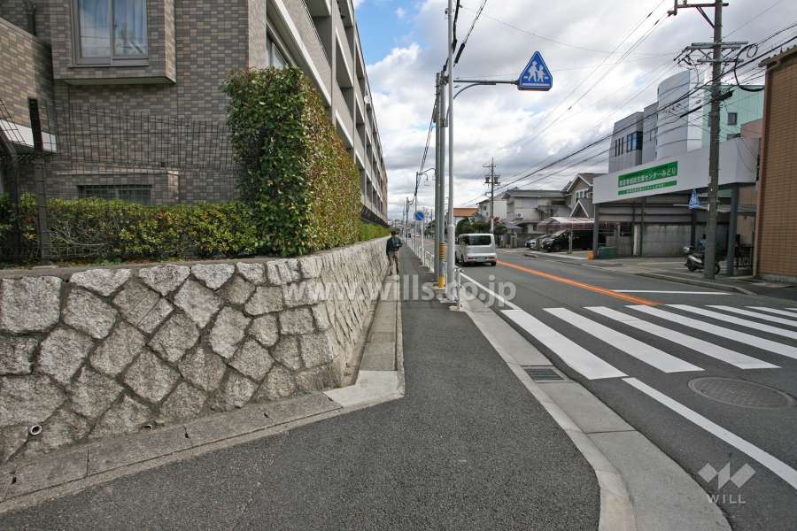 敷地南側の前面道路