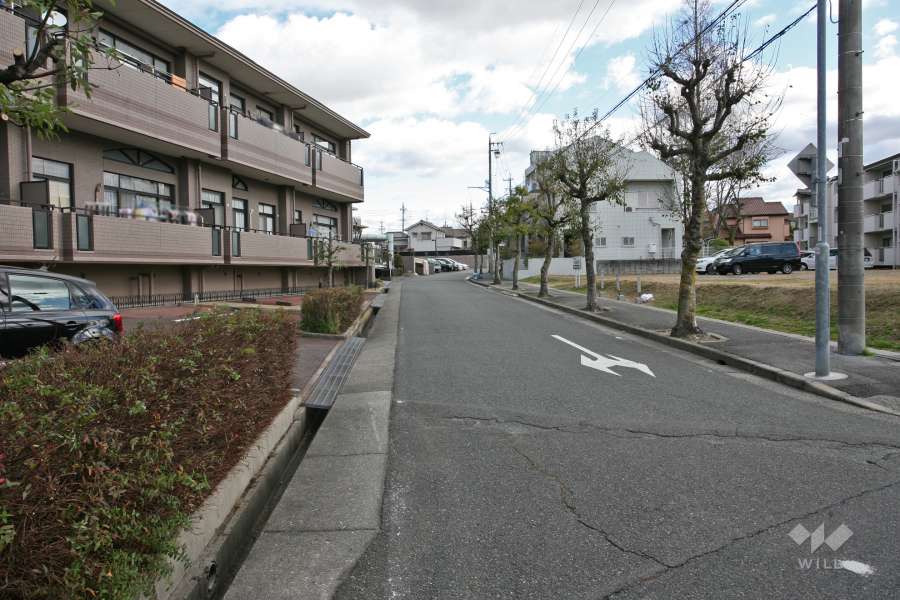 敷地南側の前面道路