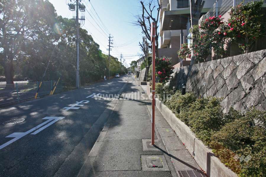 敷地東側の前面道路(北側から)
