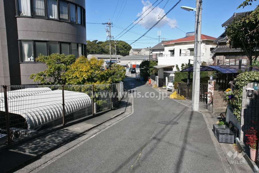 敷地東側の前面道路(南側から)
