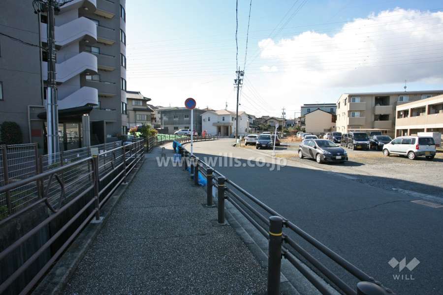 敷地西側の前面道路(北側から)
