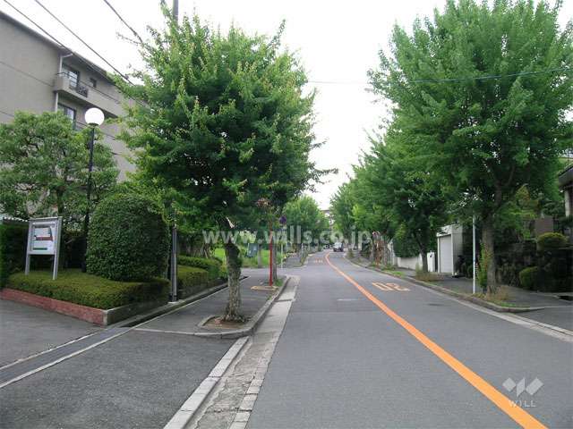 敷地東側の道路