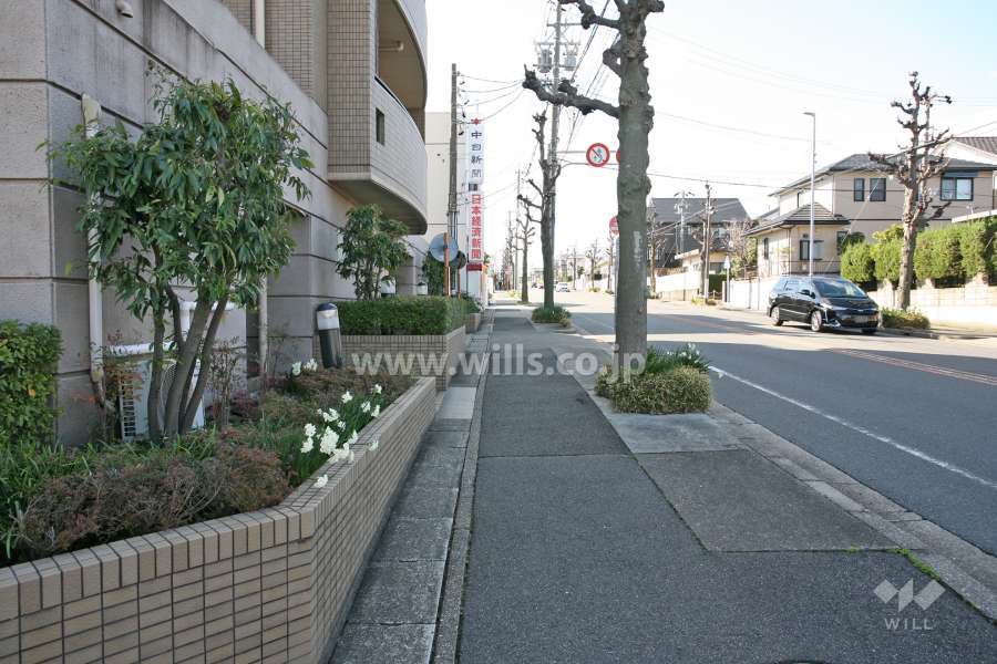 敷地西側の前面道路