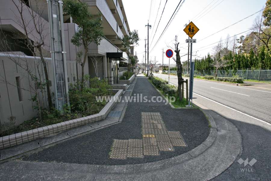 敷地北西側の前面道路(北東側から)