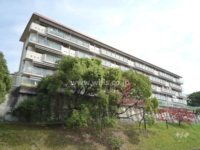 藤白台Ｄ団地Ｄ-33棟の外観（北西側から）