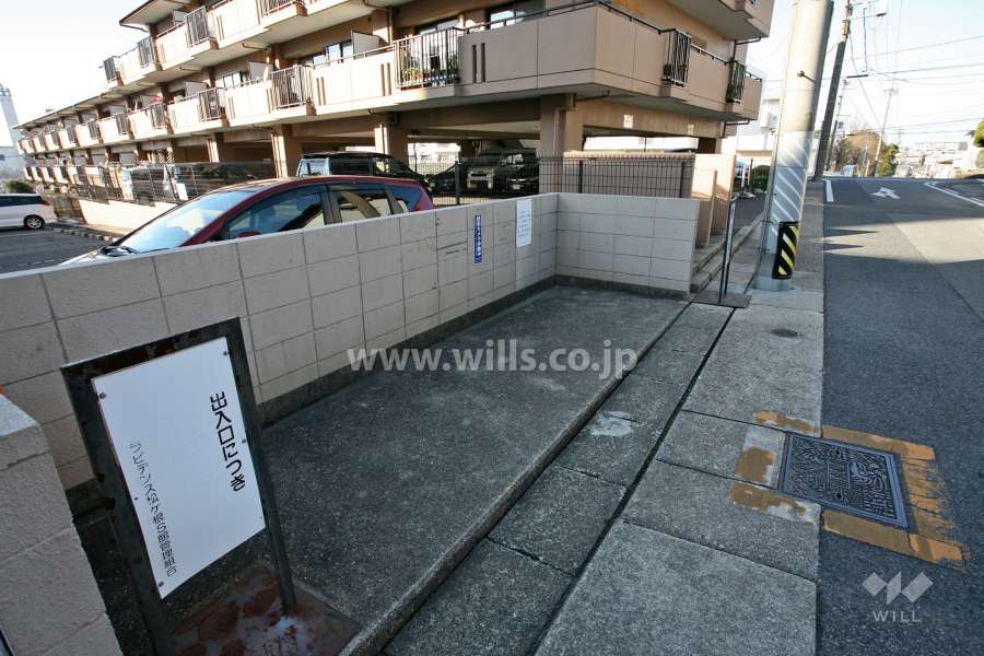 ゴミ置き場