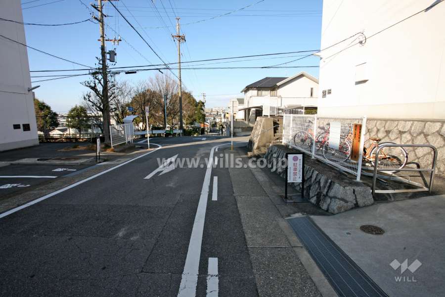 敷地西側の前面道路（南側から）