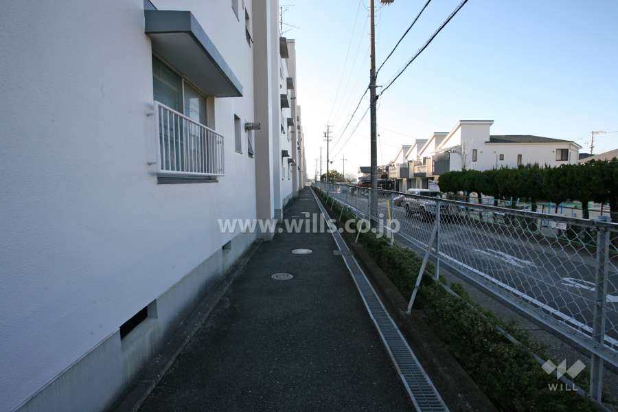 敷地北側の通路（東側から）