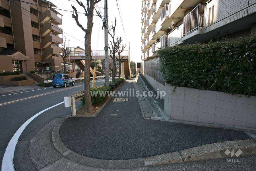 敷地南側の前面道路（東側から）