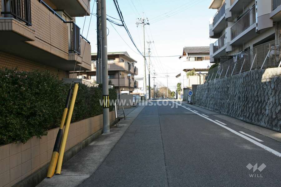 敷地東側の前面道路（南側から）
