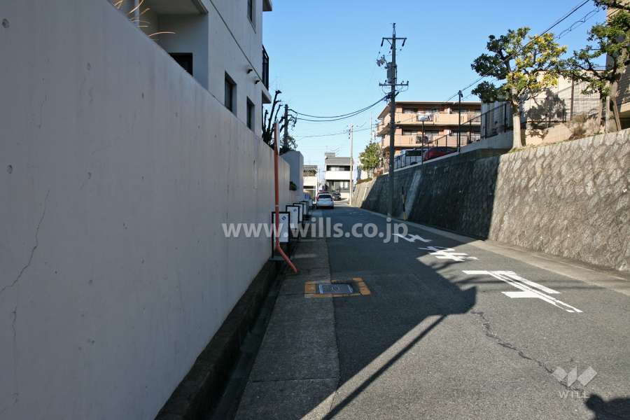 敷地東側の前面道路（南側から）