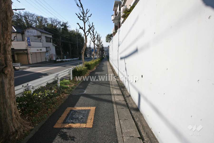 敷地南側の前面道路（東側から）