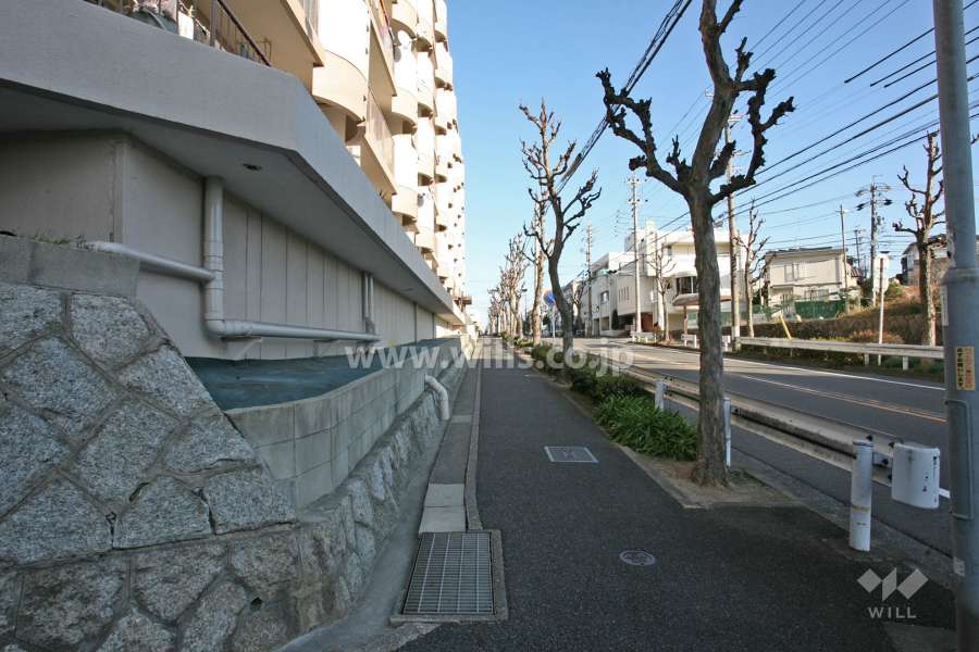 敷地南側の前面道路