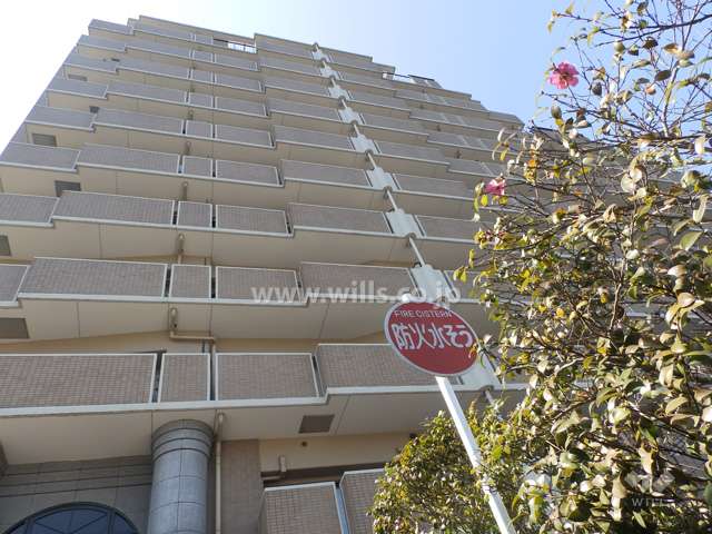 外壁はタイル張りです。