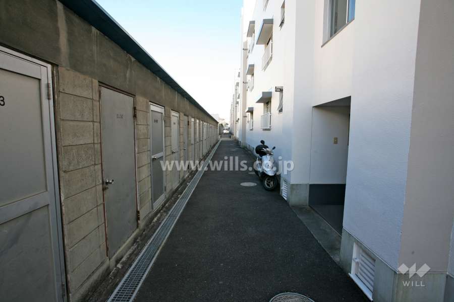 敷地北側の通路と倉庫