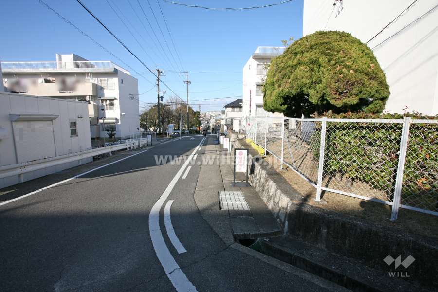 敷地西側の前面道路（南側から）