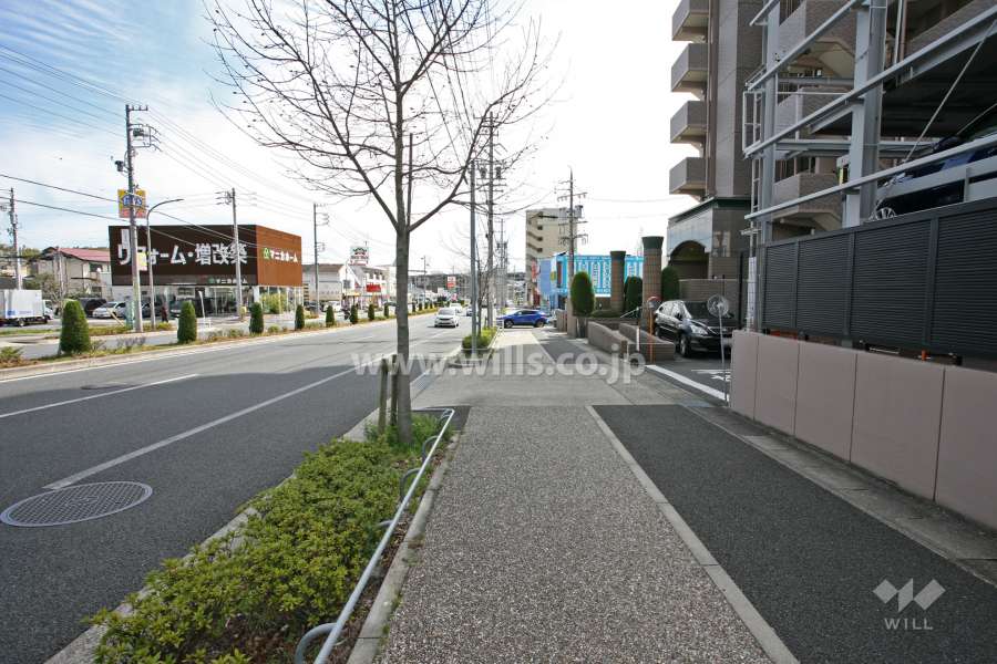 敷地北側の前面道路(西側から)