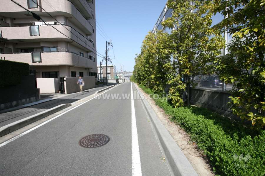 敷地東側の前面道路（南側から）