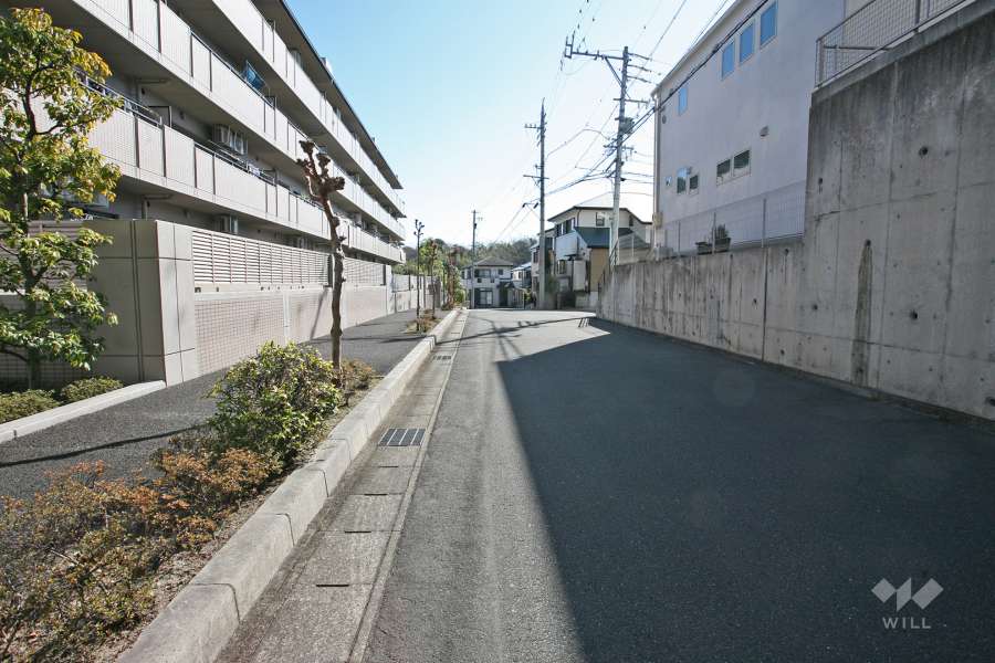 敷地南側の前面道路