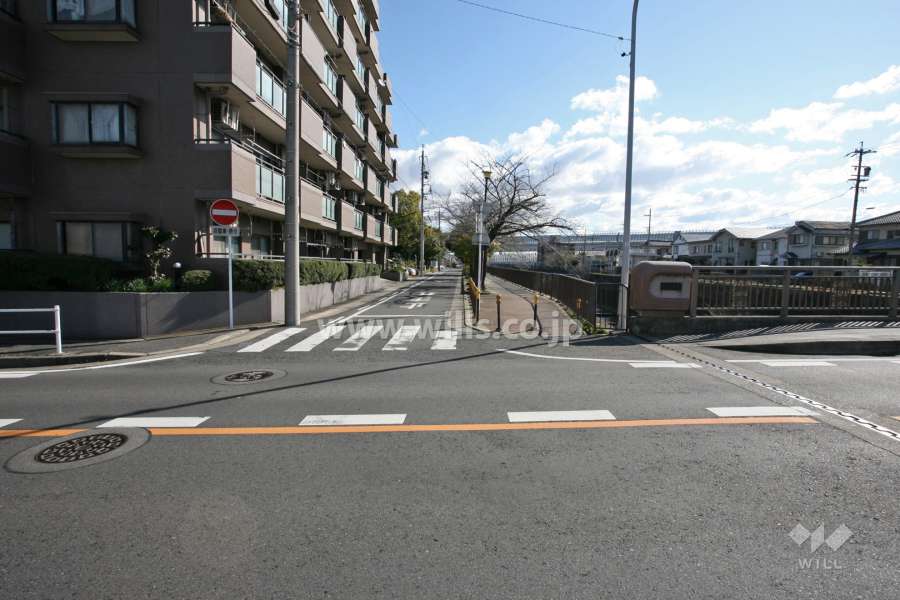 敷地南側の前面道路（西側から）