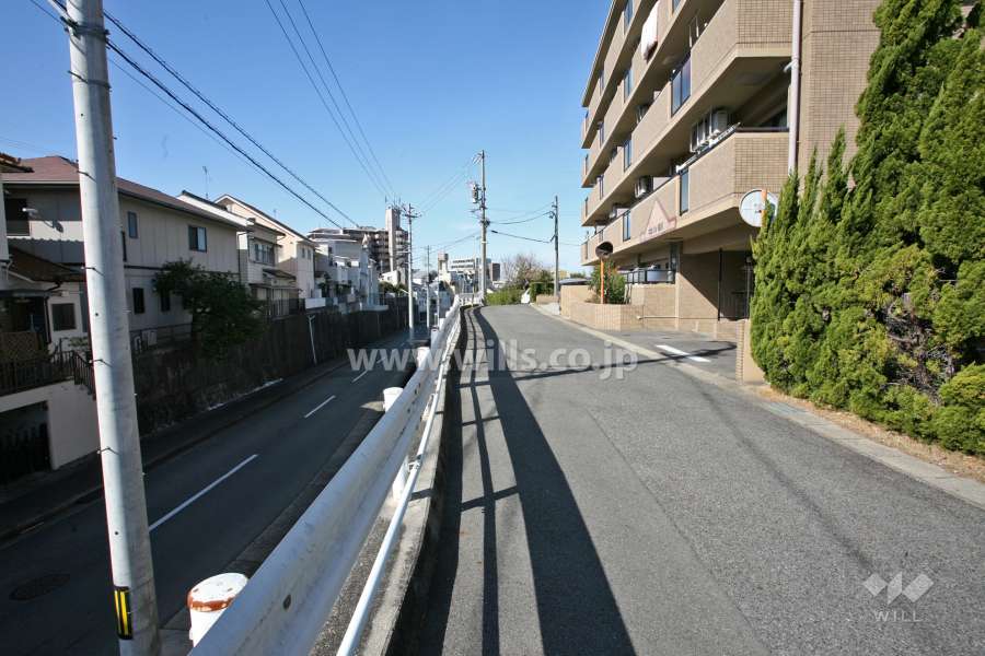 敷地南側の前面道路(東側から)
