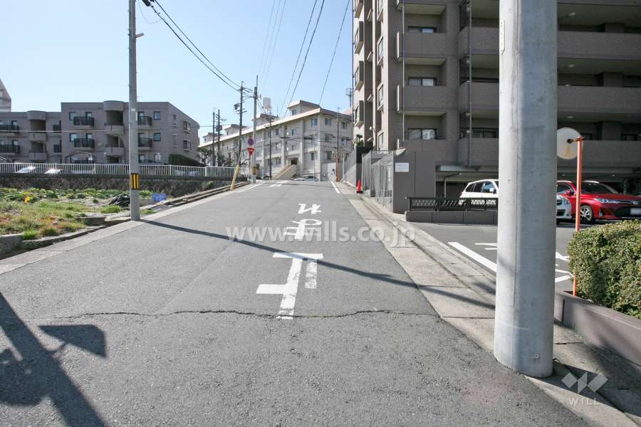 敷地東側の前面道路（北側から）