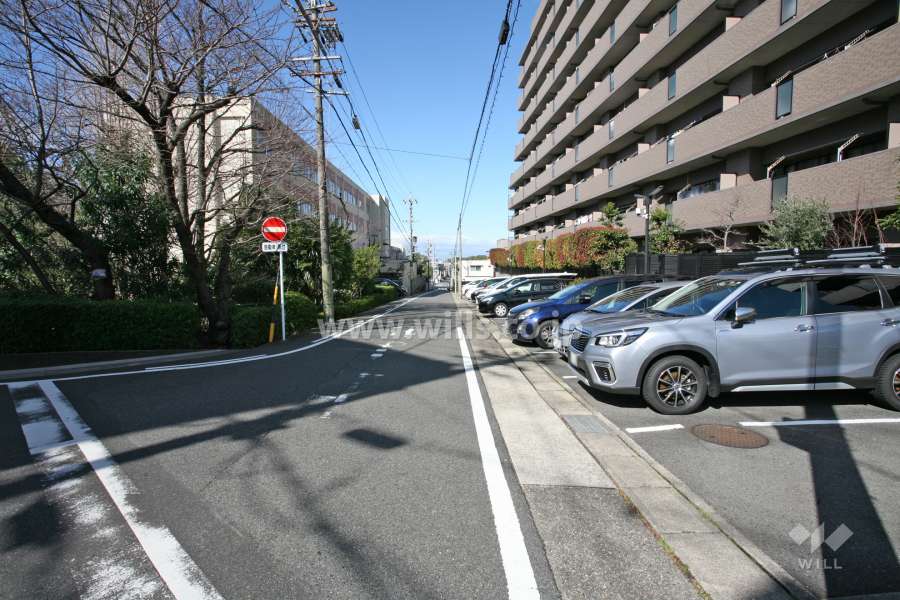 敷地南側の前面道路（東側から）