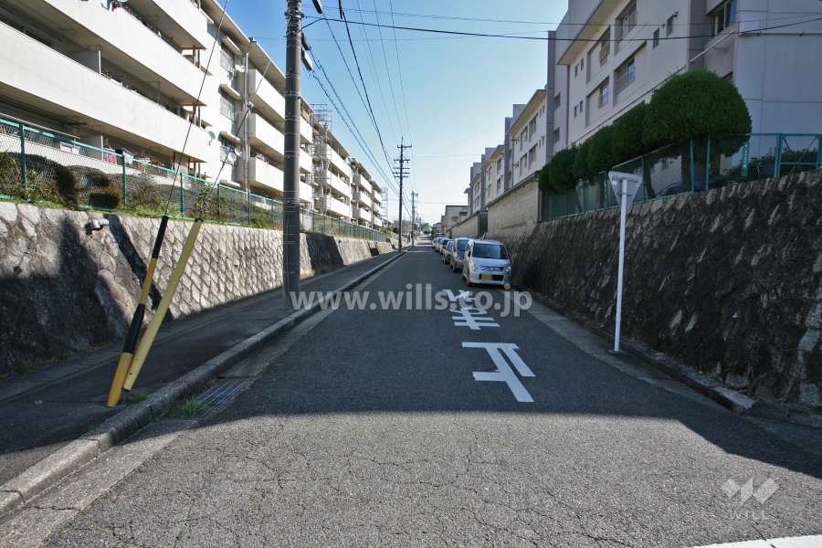 敷地北側の前面道路(西側から)