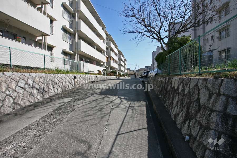 敷地内南側の通路