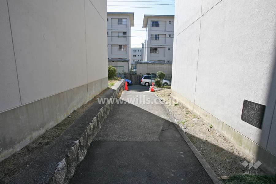 敷地内通路(西側)